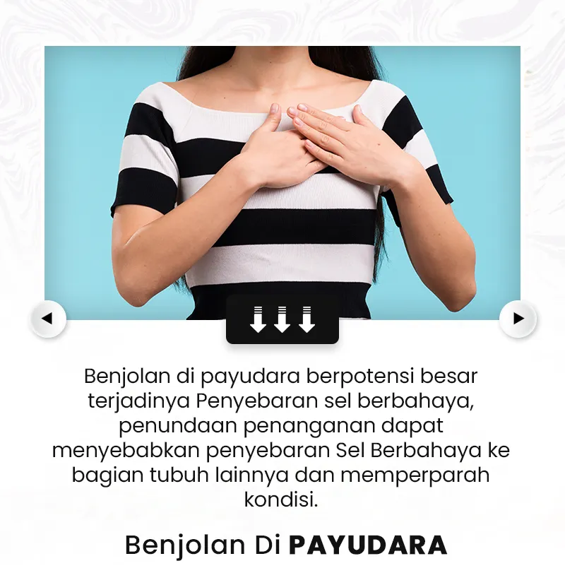 11.3-copy-2.webp